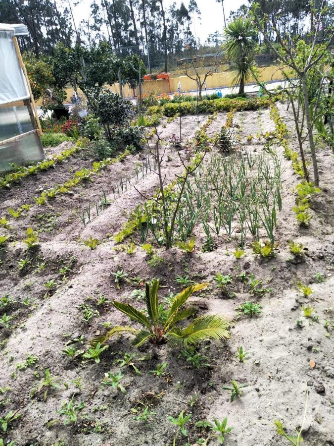 Carvide Your Home Eco & Natur מראה חיצוני תמונה